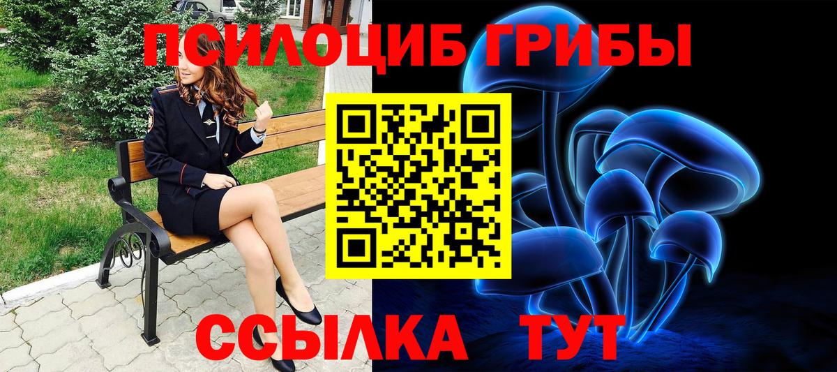 Псилоцибиновые грибы мицелий  Вход с VPN  Псилоцибиновые грибы MAGIC MUSHROOMS  Фрязино 